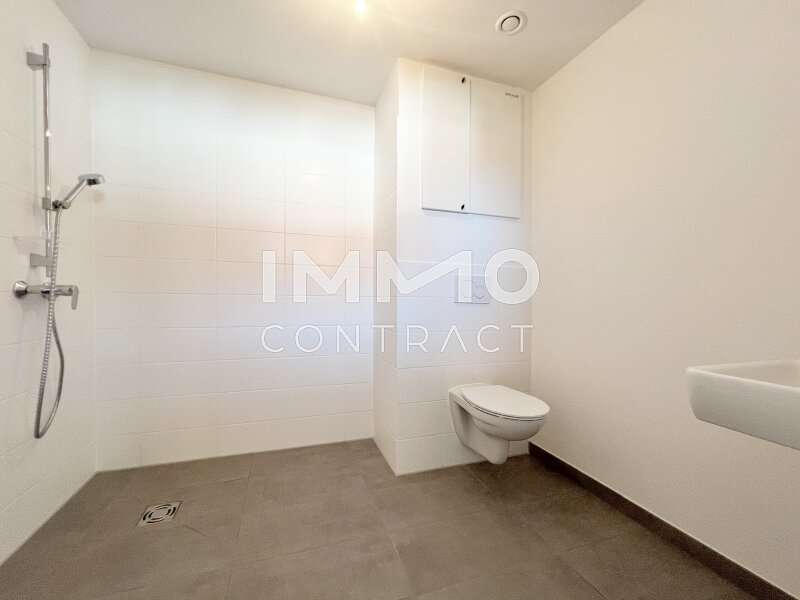 Reihenhaus Krems an der Donau: ©DSH_0737 Kopie ©DSH_0737 Kopie