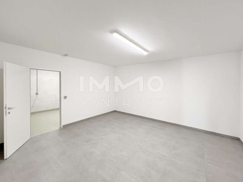 Reihenhaus Krems an der Donau: ©DSH_0675 2 Kopie ©DSH_0675 2 Kopie