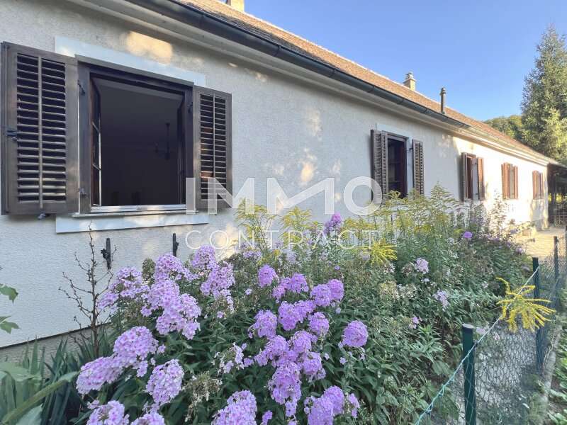 Landhaus Schönberg am Kamp: ©DSH ©DSH