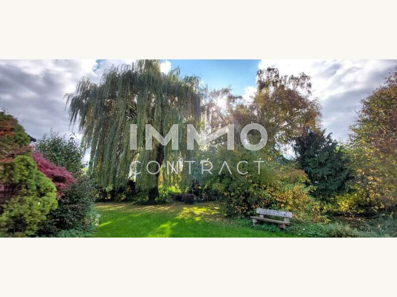 Einfamilienhaus in Alkoven - Bild 12