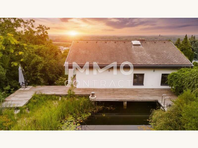 Einfamilienhaus Hainburg an der Donau: Schwimmteich mit Abendsonne_2 Schwimmteich mit Abendsonne_2