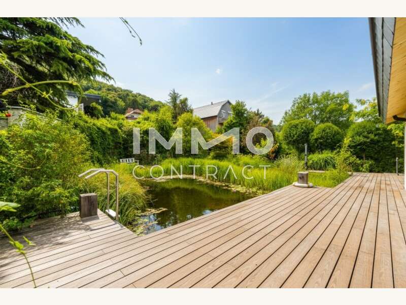 Einfamilienhaus Hainburg an der Donau: Einstieg Badeteich Einstieg Badeteich