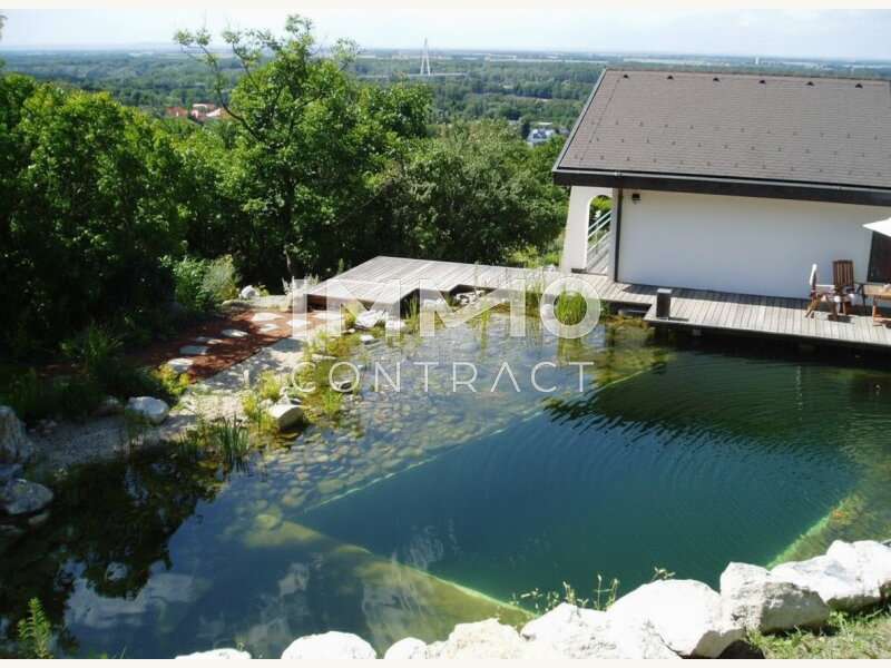 Einfamilienhaus Hainburg an der Donau: Ausblick vom Schwimmteich Ausblick vom Schwimmteich