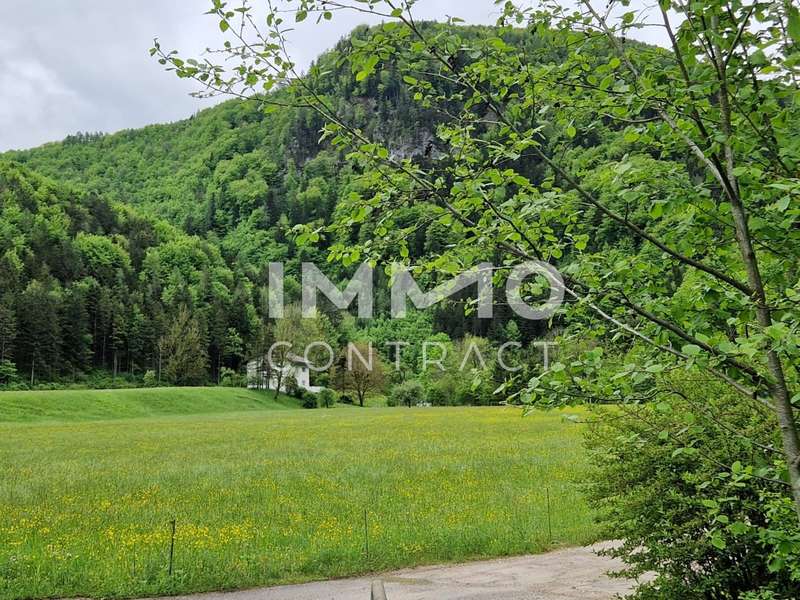 Mehrfamilienhaus in Kienberg - Bild 5