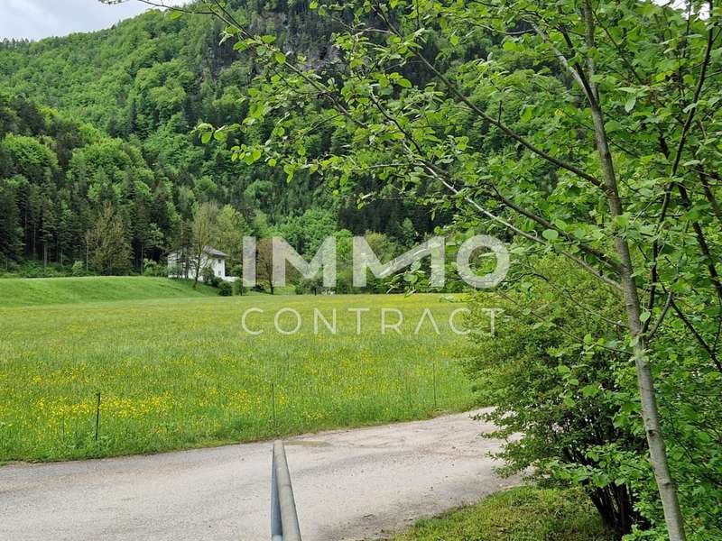 Mehrfamilienhaus in Kienberg - Bild 6