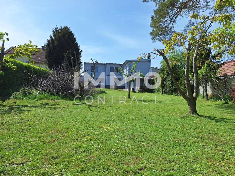 Haus Weikendorf: 20250422_112358 20250422_112358