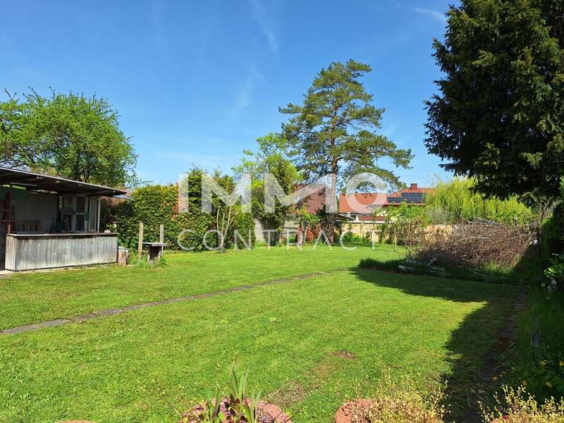 Haus Weikendorf: 20250422_112246 20250422_112246