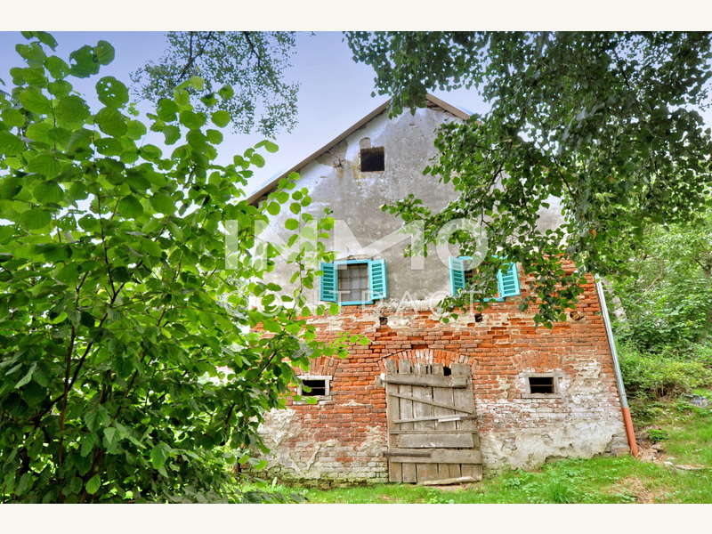 Blick auf Eingang des Erdkellers und Fenster des Wohn- Schlafzimmers