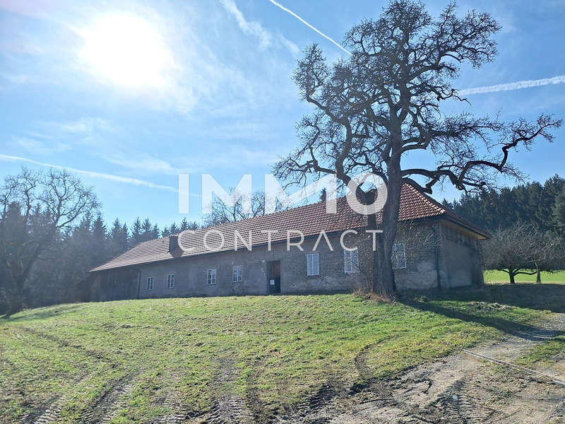 Landhaus in Seitenstetten / Seitenstetten Dorf - Bild 4