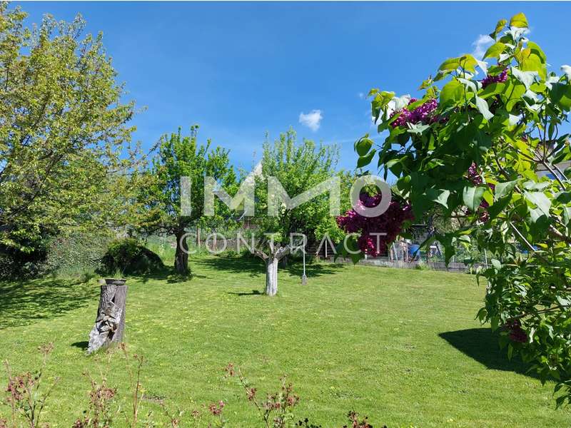 Einfamilienhaus Mürzzuschlag: 20250510_110433 20250510_110433
