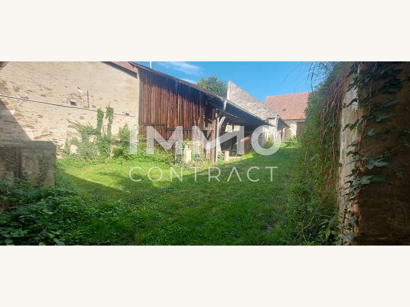 Haus in Langenlois - Bild 5