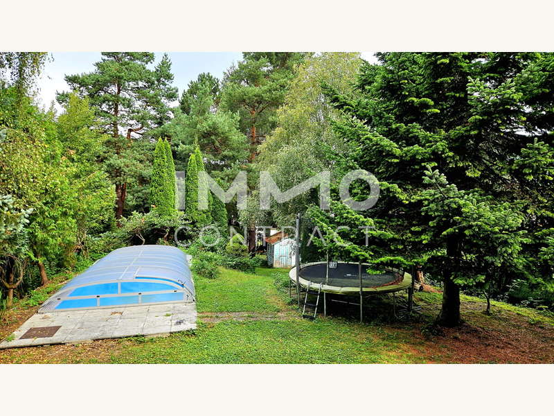 Garten Hinten 1