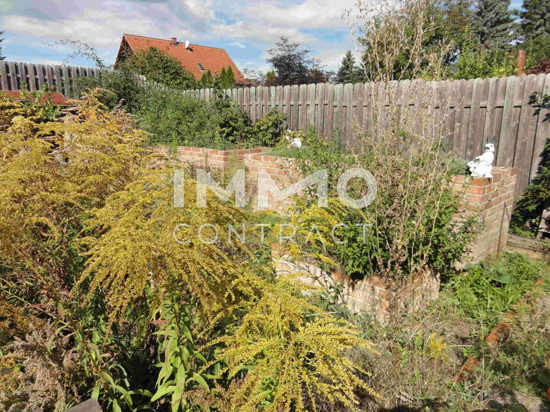 Im Gemüsegarten