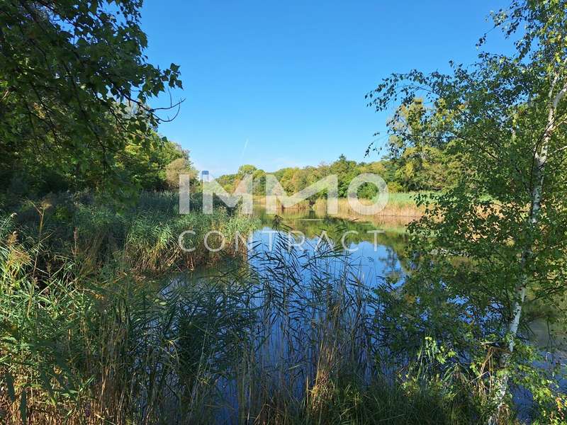 Ferienhaus Wien: 20250922_113814 20250922_113814