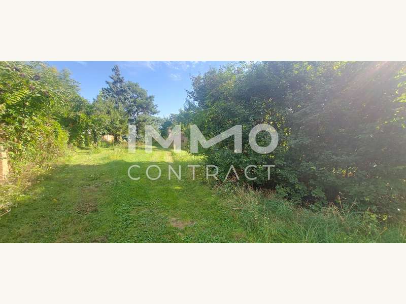 Einfamilienhaus in Langenlois - Bild 10