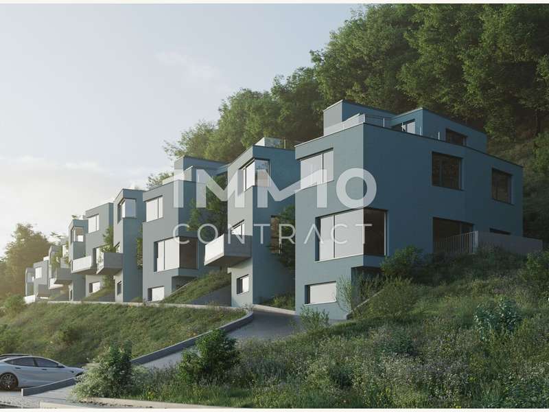 Doppelhaushälfte Höflein an der Donau: Außenvisualisierung 1 Außenvisualisierung 1