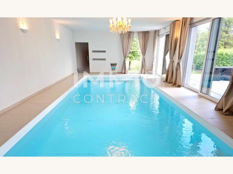 Villa Pfaffstätten: Pool Neu 2 Pool Neu 2