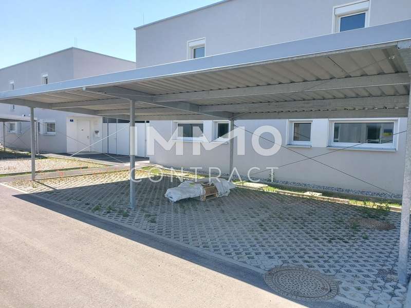 Reihenhaus Kapelln: 20250513_103415 20250513_103415
