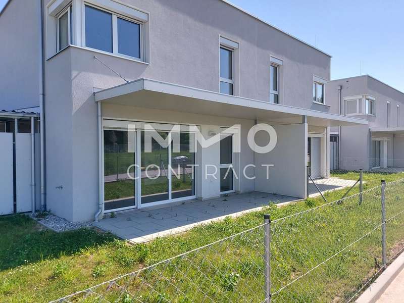Reihenhaus Kapelln: 20250513_103309 20250513_103309