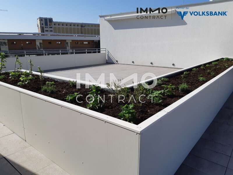 Mietwohnung Graz: 20210424_100619 20210424_100619