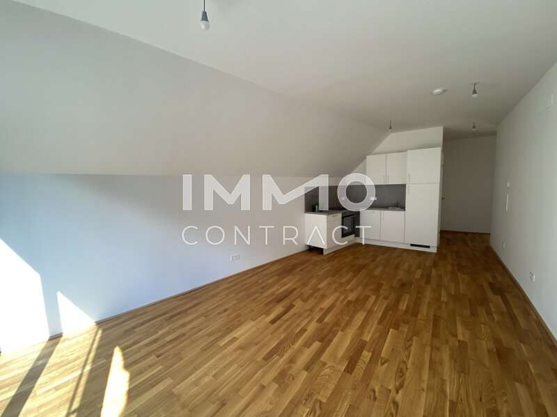 Dachgeschosswohnung Wien: Wohnesszimmer Wohnesszimmer