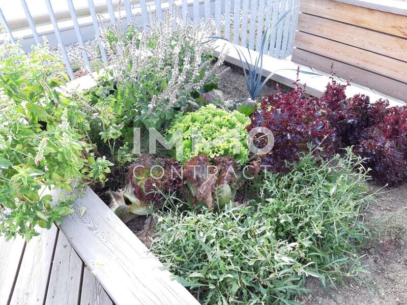 Mietwohnung Graz: 20200923_155922 20200923_155922