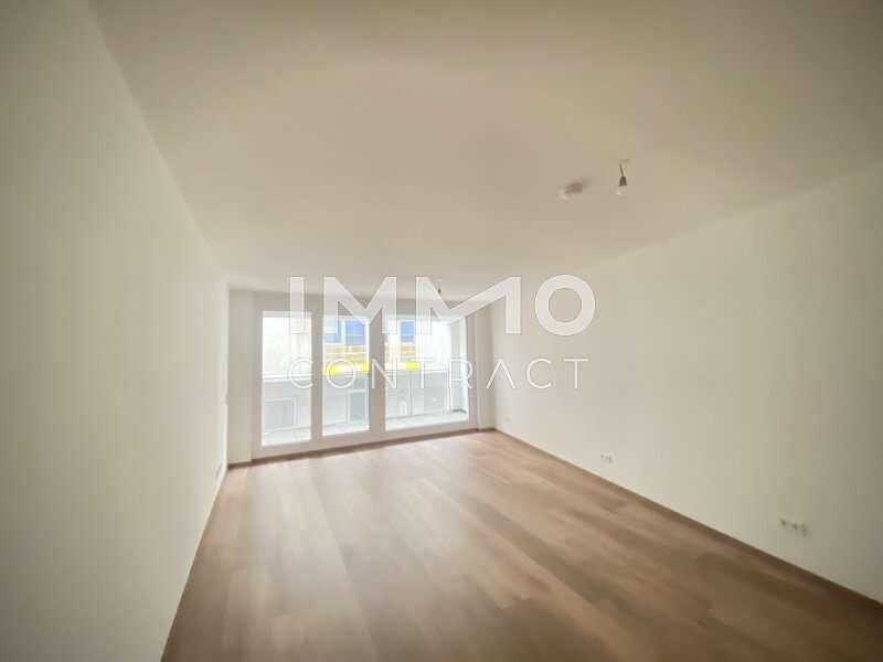 Mietwohnung Wien: Wohnesszimmer Wohnesszimmer