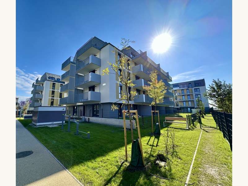 Mietwohnung in Wien - Bild 27