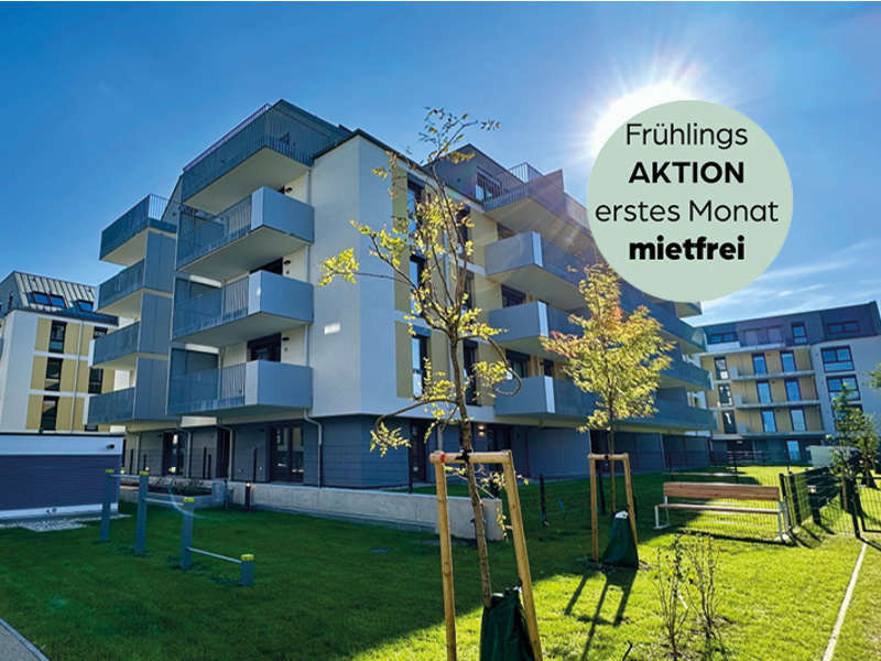 Mietwohnung Wien: Frühling (1) Frühling (1)