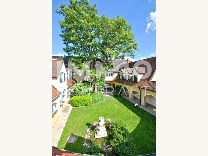 Blick in den Innehof vom Balkon mit ganzem Baum