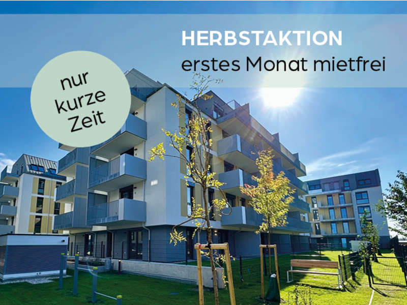 Mietwohnung Wien: Herbstaktion Pfalzgasse Herbstaktion Pfalzgasse