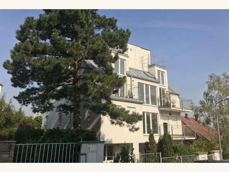 Mietwohnung Wien: Villa mit 3 WE Villa mit 3 WE