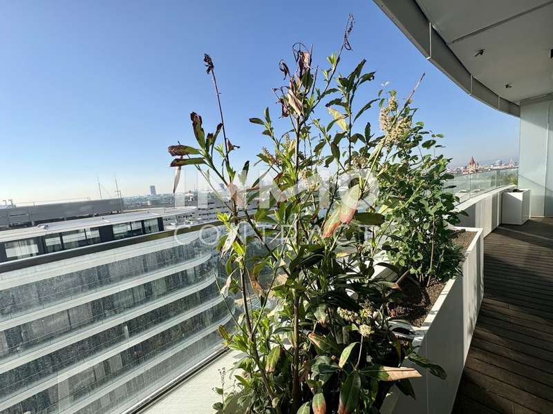 Mietwohnung Wien: Balkon Richtung Neue Donau Balkon Richtung Neue Donau