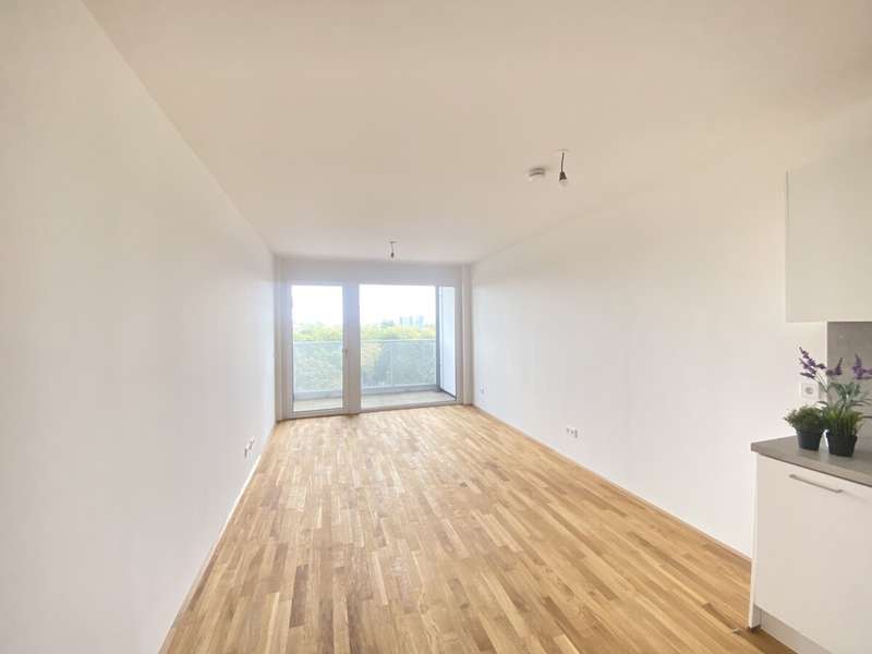 Wohnesszimmer mit Küche