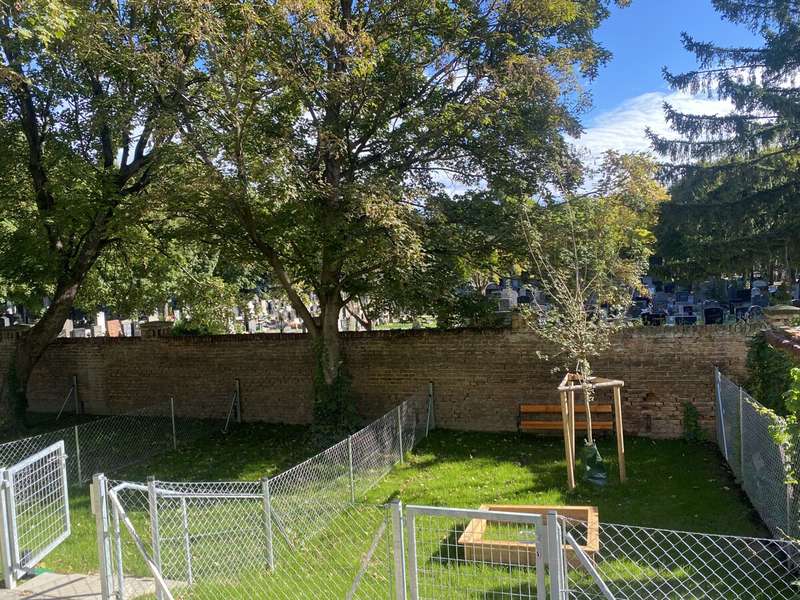 IGemeinschaftsgarten