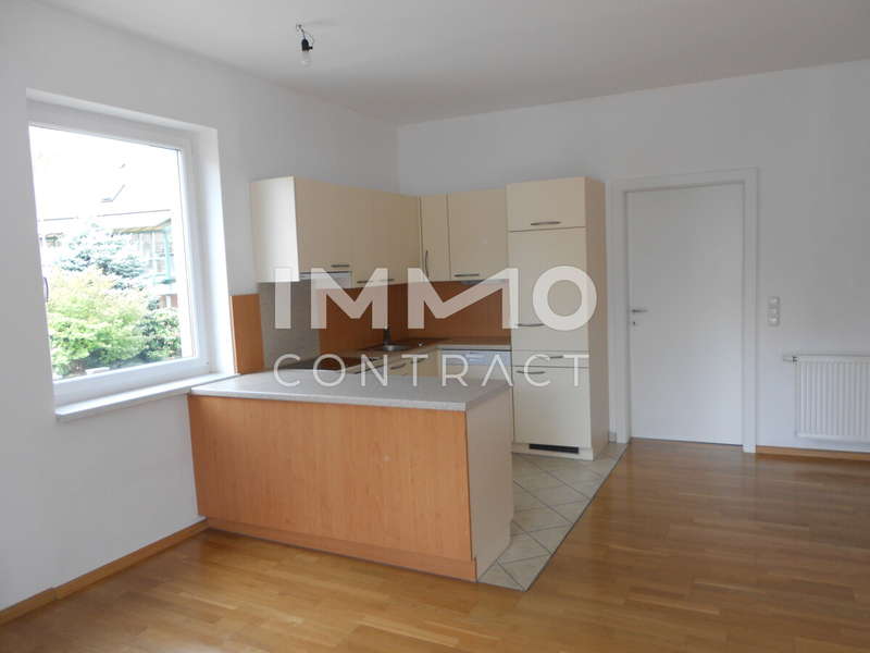 Mietwohnung Linz: DSCN8227 DSCN8227