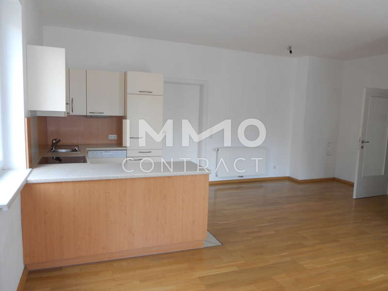 Mietwohnung Linz: DSCN8228 DSCN8228