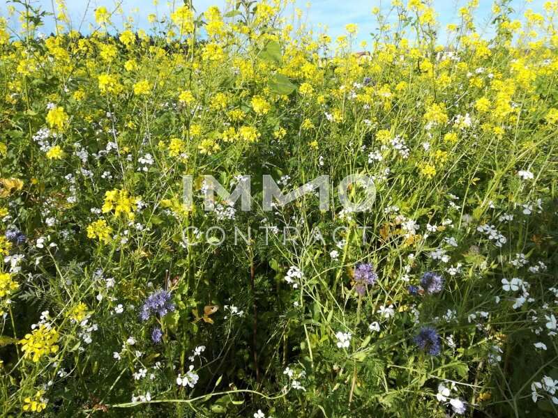 Wohnung in Linz - Bild 17 Wohnung in Linz - Bild 17