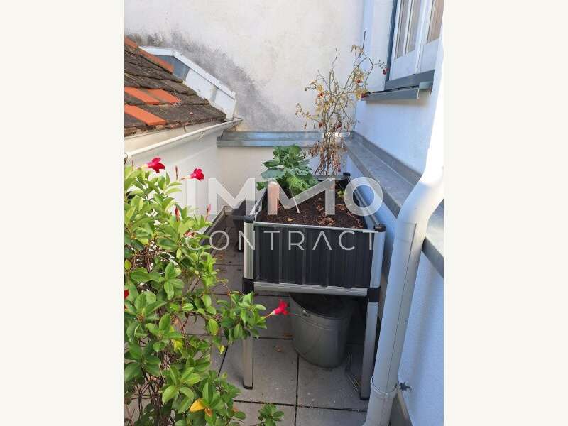 Maisonette Wien: 20251016_143613 20251016_143613