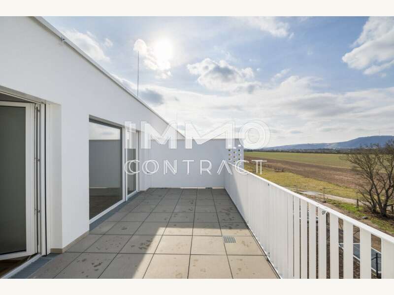 Freiflächen mit Blick ins Grüne