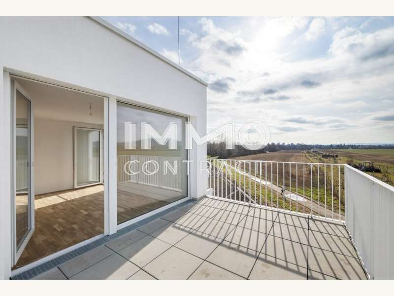 Lichtdurchfluteter Wohnbereich