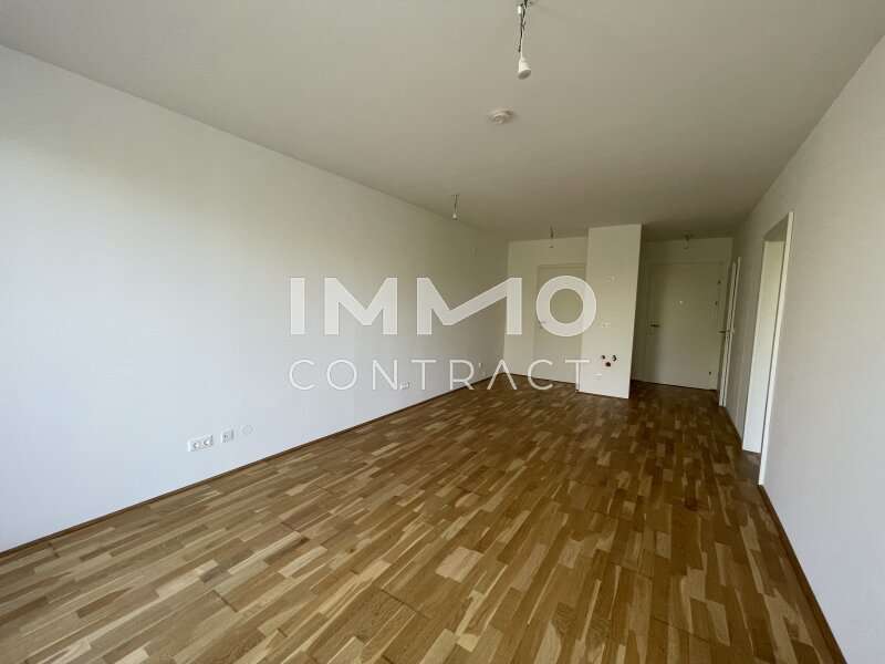 Eigentumswohnung Wien: Wohnraum Wohnraum