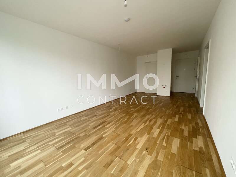 Eigentumswohnung Wien: Wohnraum Wohnraum