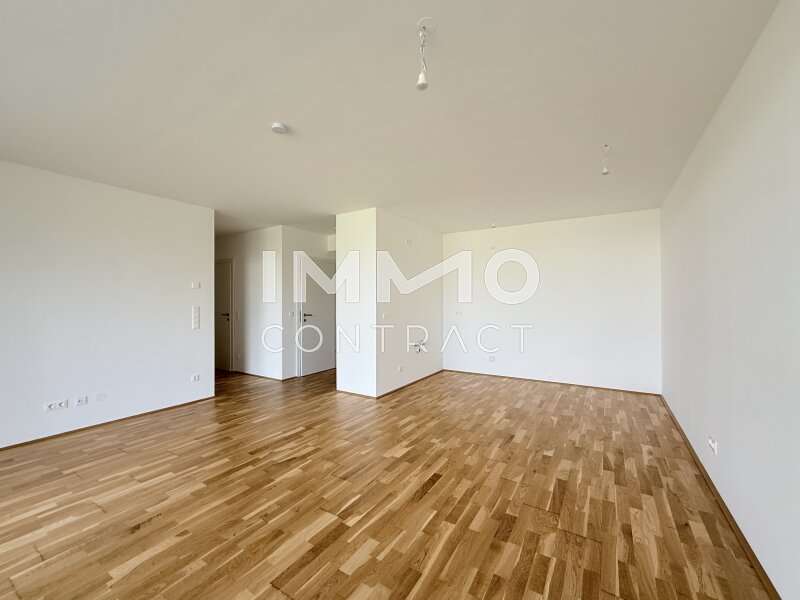 Eigentumswohnung Wien: Wohnraum Wohnraum