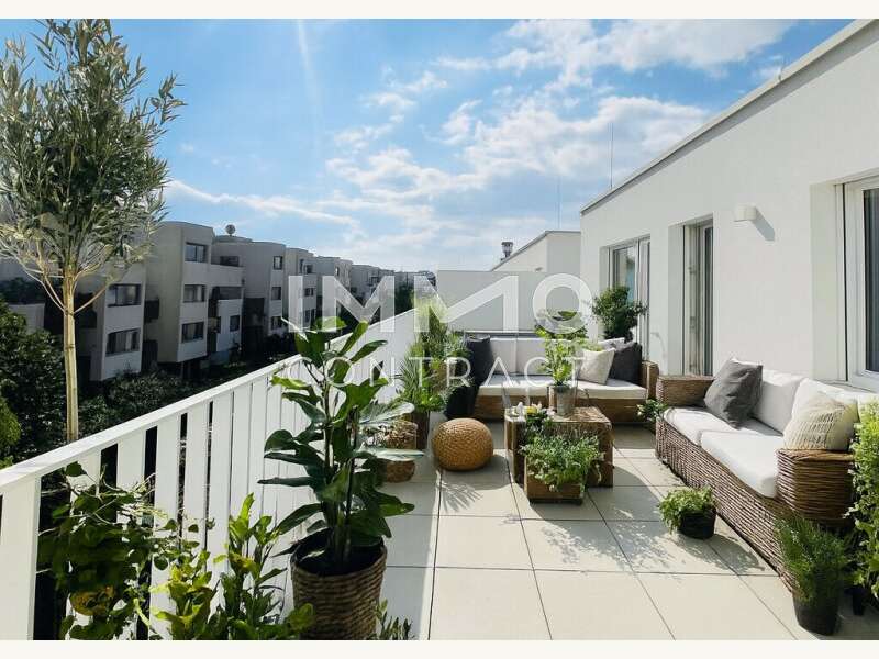 Visualisierung Terrasse