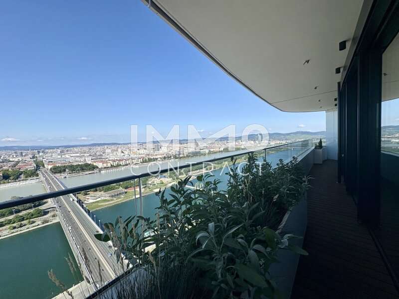 Ausblick Neue Donau aufwärts