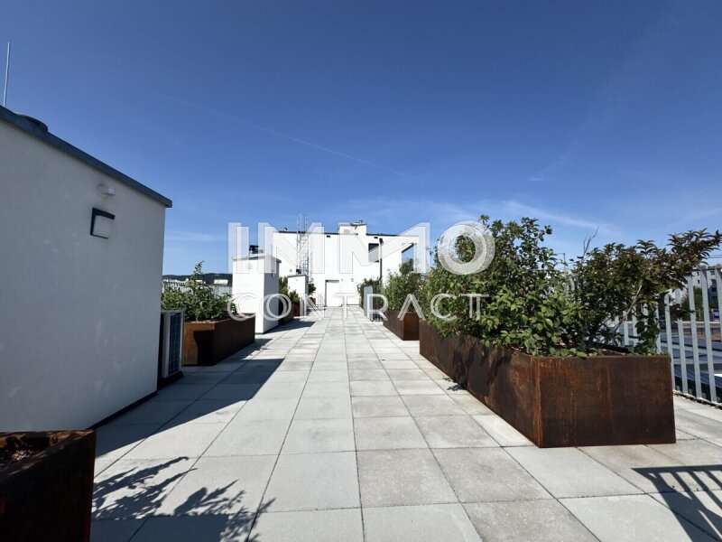 Eigentumswohnung Wien: Dachterrasse Dachterrasse