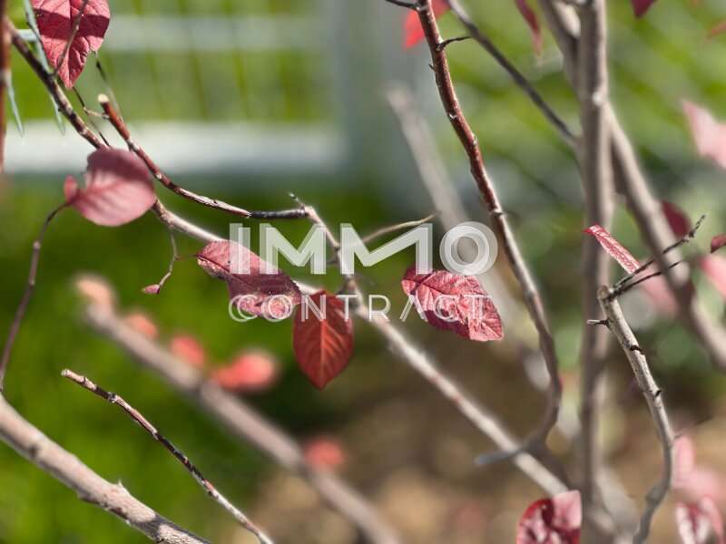 Dachgeschosswohnung Krems an der Donau: DSH DSH