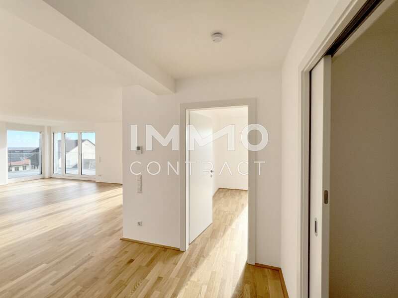 Penthouse Krems an der Donau: DSH 8164 Kopie DSH 8164 Kopie