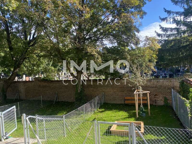 IGemeinschaftsgarten